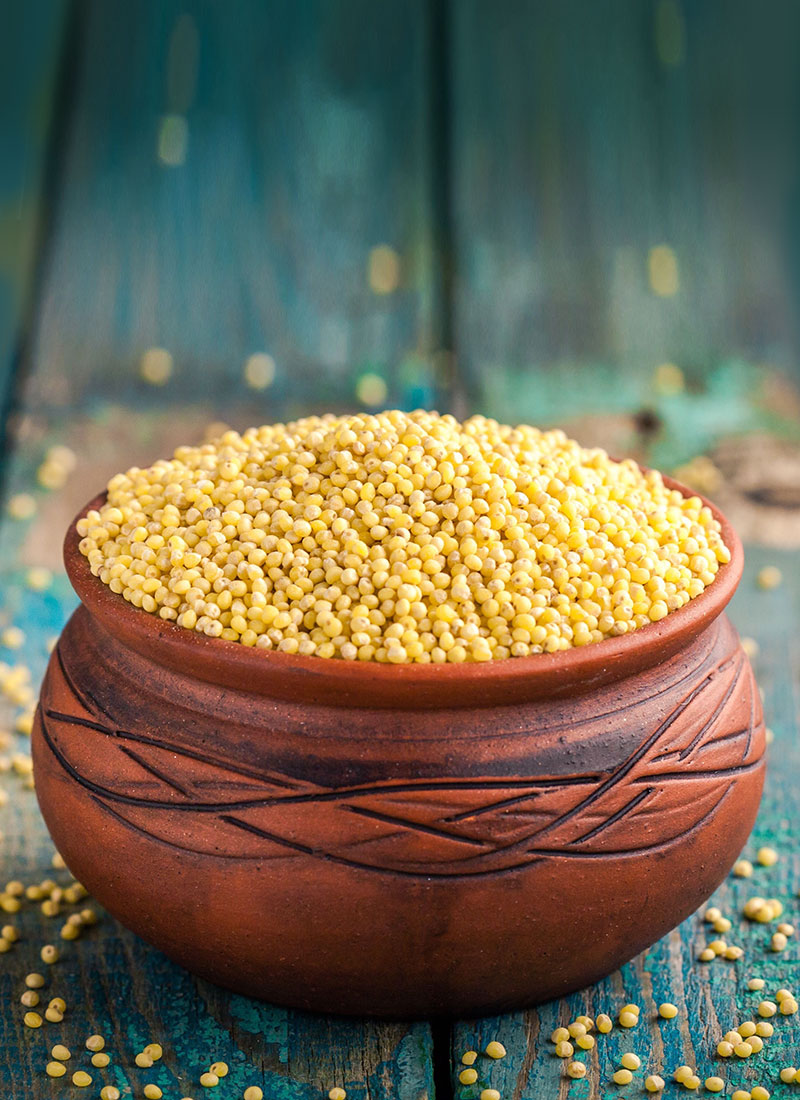About Little Millets
