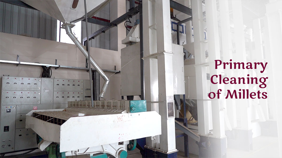 Magic Millets Factory