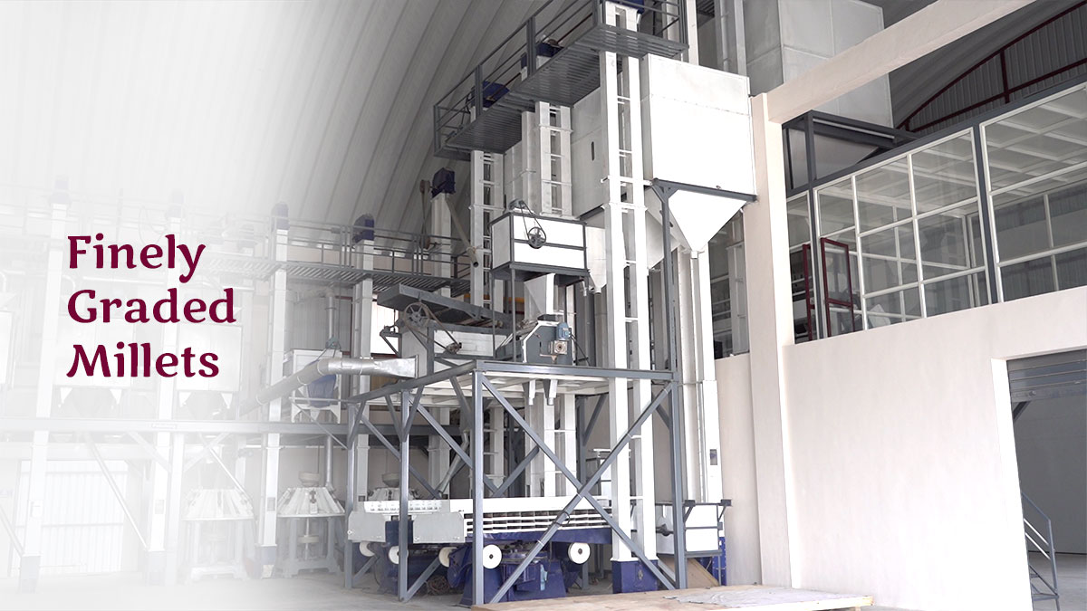 Magic Millets Factory