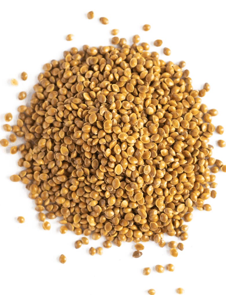 Kodo Millet Seeds