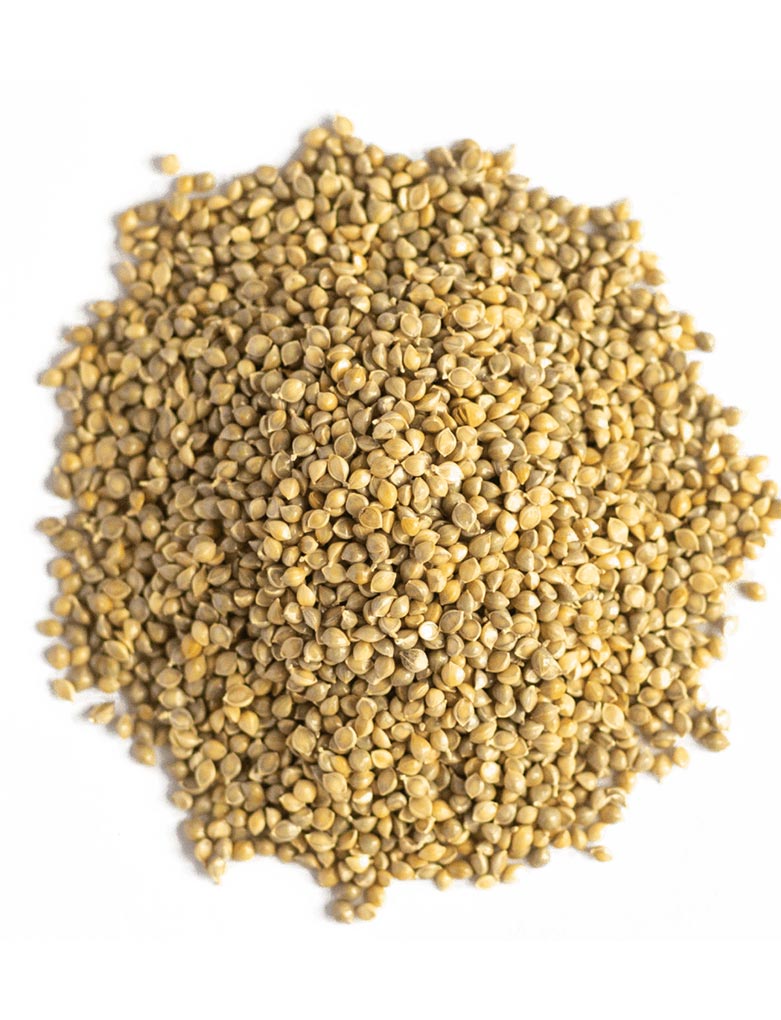 Barnyard Millet Seeds